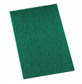Paint & Dye Scouring Pad